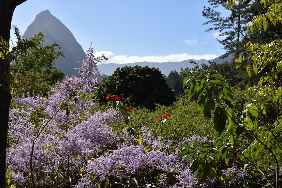12 - Piton Cabris depuis Ilet a Bourse les Hauts.jpg