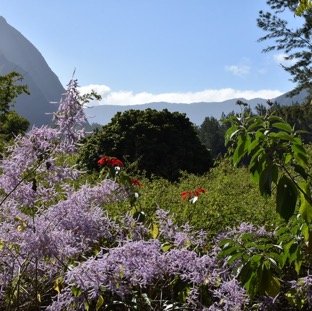 12 - Piton Cabris depuis Ilet a Bourse les Hauts.jpg