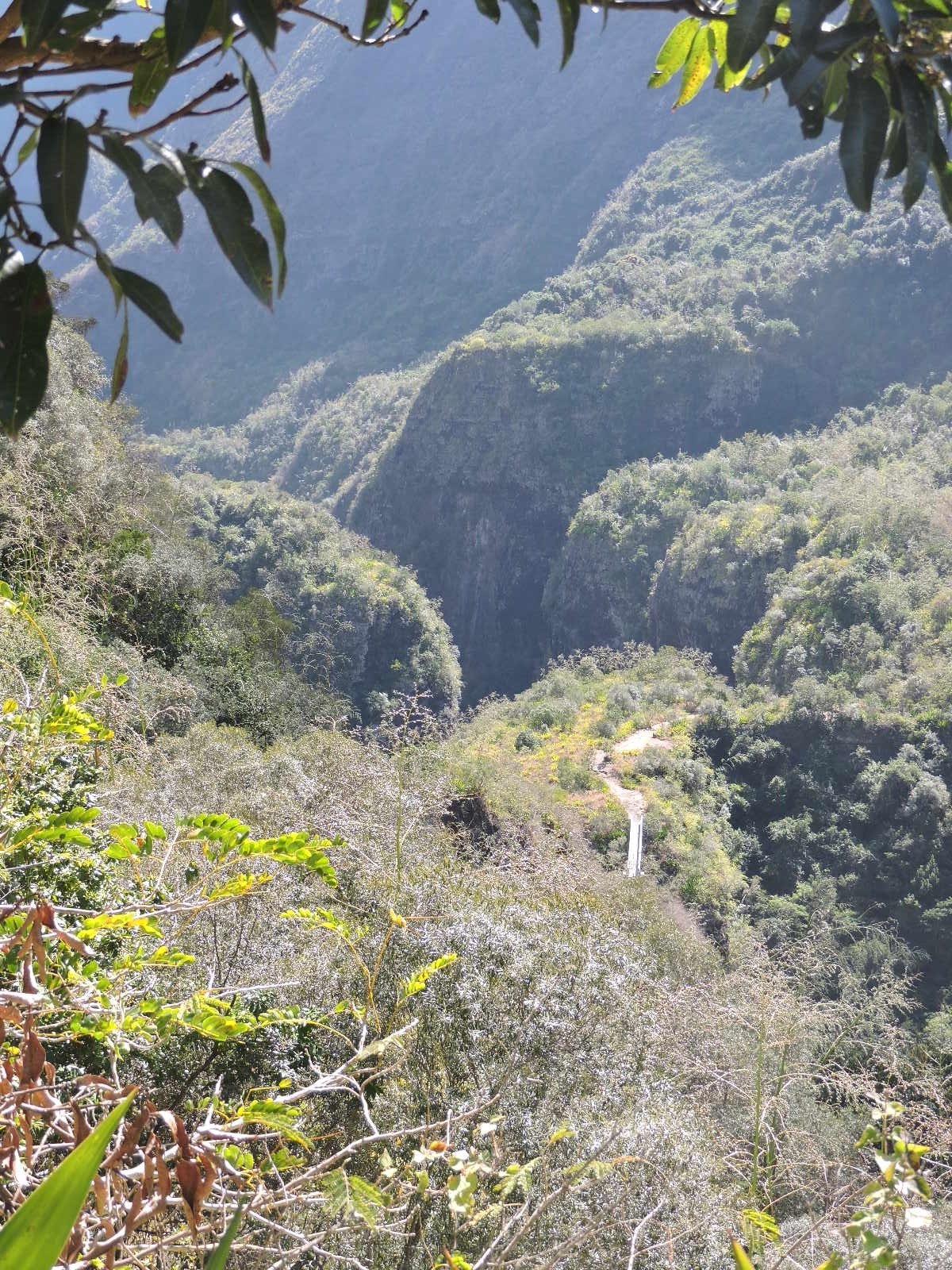 15 Toujours plus haut .JPG