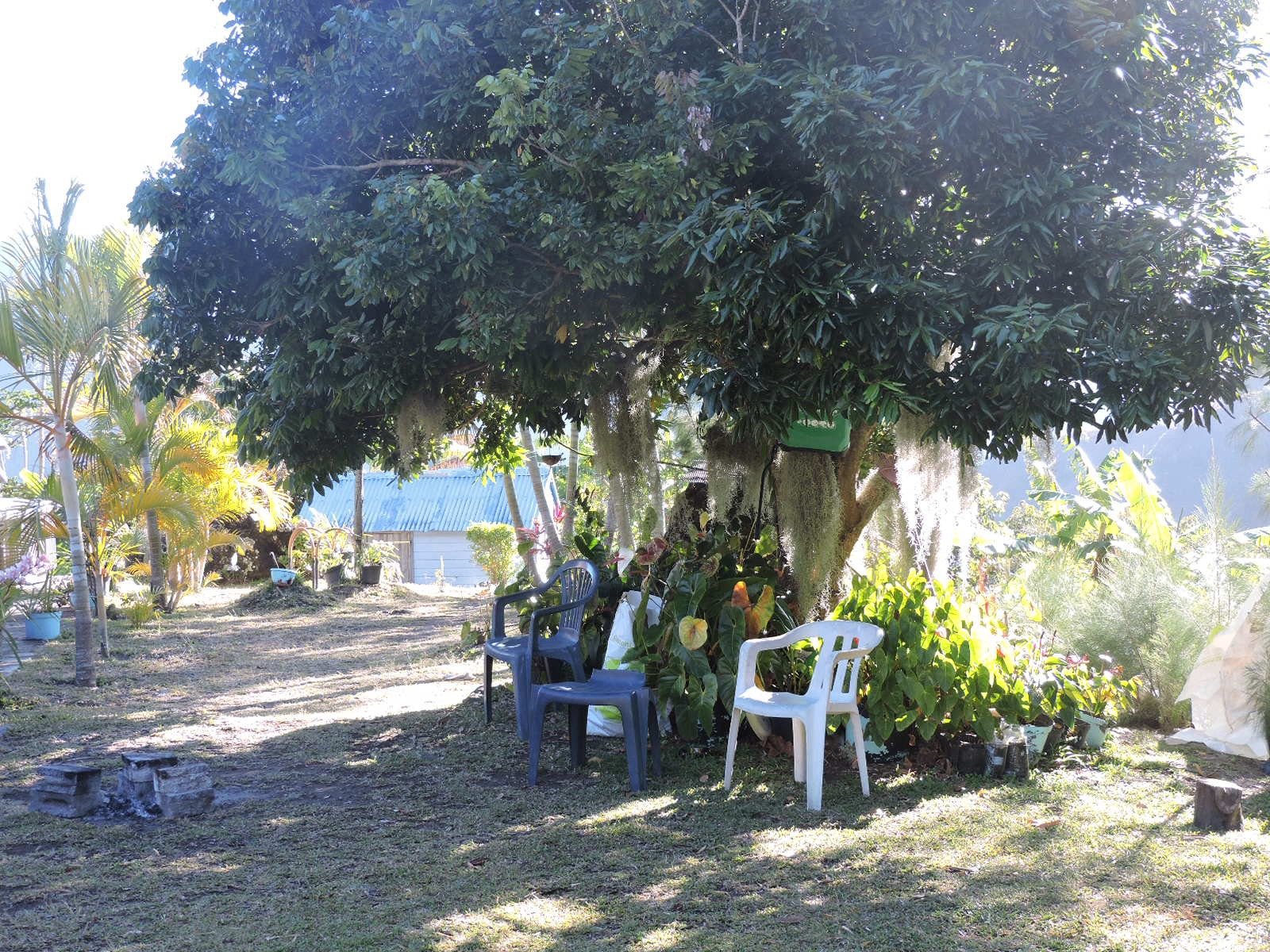 43 Ti coin creole .JPG