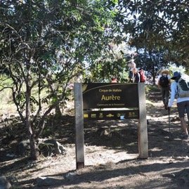 84 Aurere .JPG