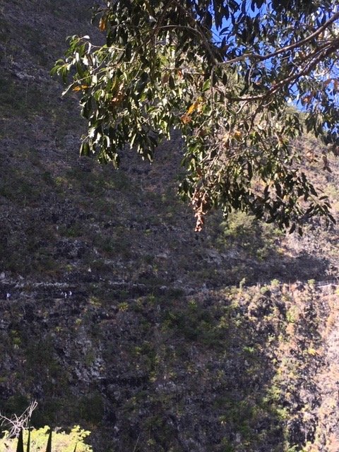 97 Ou est le sentier... .JPG