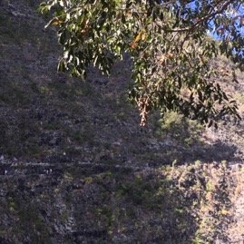 97 Ou est le sentier... .JPG