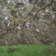 MB4_0193.jpg