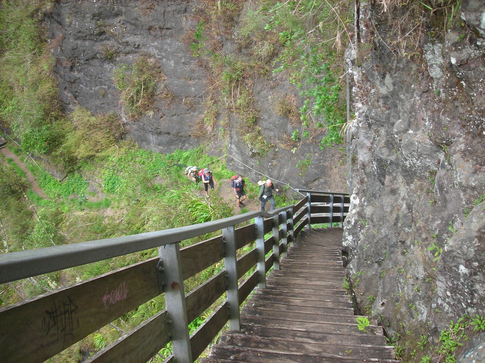 44 sentier Augustave .JPG