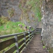 44 sentier Augustave .JPG