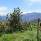 IMG_3419.jpg