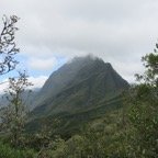 IMG_3425.jpg