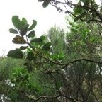 IMG_3426.jpg