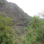 IMG_3431.jpg
