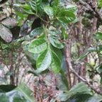 IMG_3436.jpg