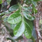IMG_3437.jpg