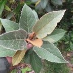 IMG_3438.jpg