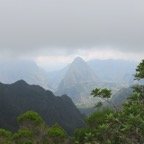 IMG_3443.jpg