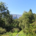 IMG_3455.jpg