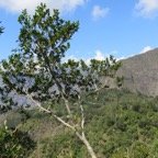 IMG_3477.jpg