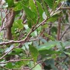 IMG_3491.jpg
