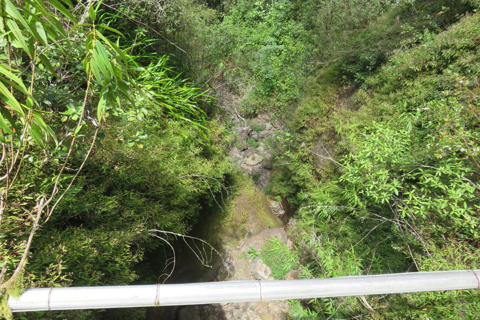 IMG_3495.jpg