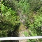 IMG_3495.jpg