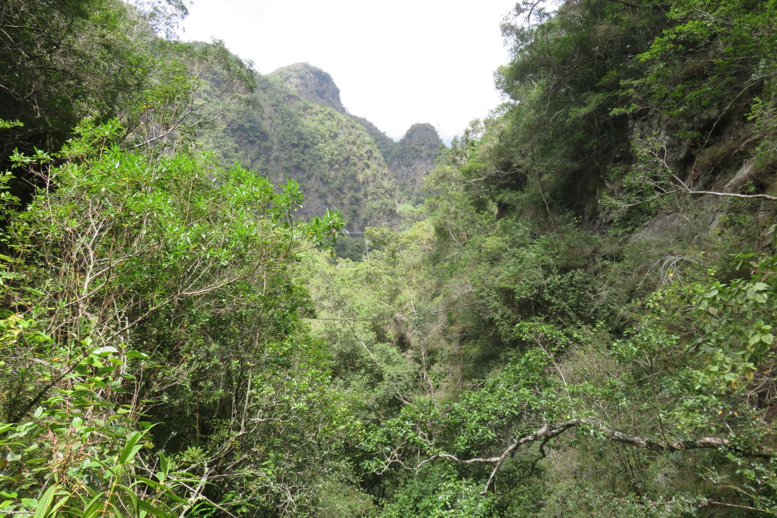 IMG_3496.jpg