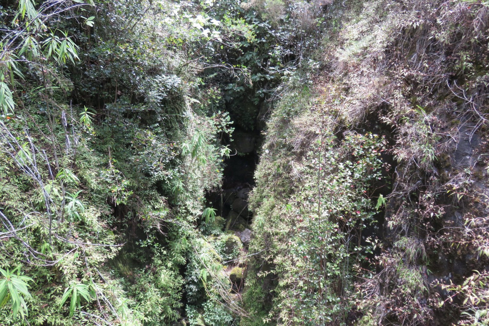 IMG_3497.jpg