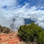 IMG_8132.jpeg