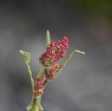 MB3_2562.jpg