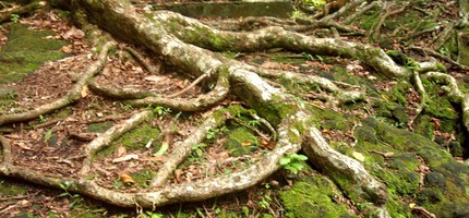 Les photos de N. BRISSAUD à Mare Longue