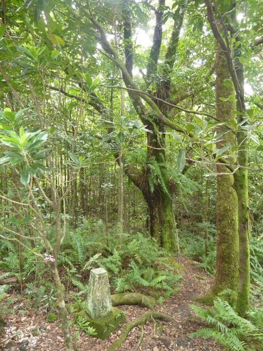 P1090008