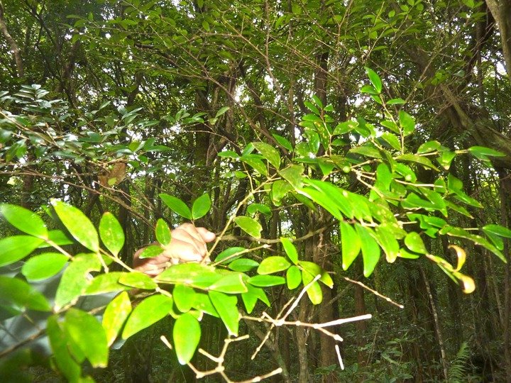 P1090019