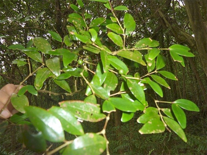 P1090020