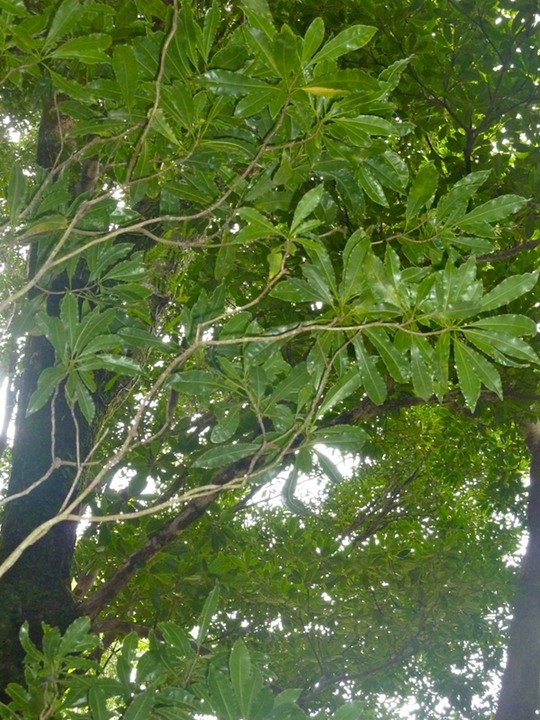 P1090025