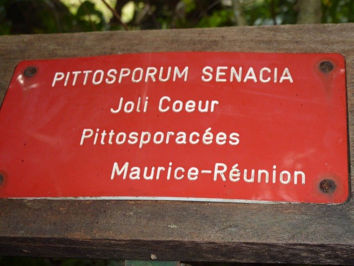 P1090026