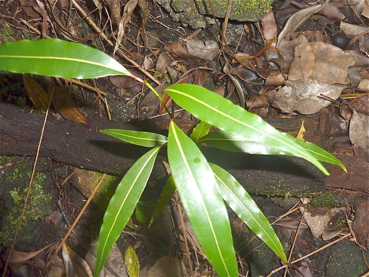P1090053