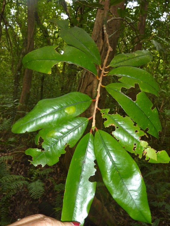 P1090056