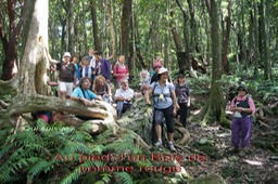 ML- Au pied d'un Bois de pomme rouge
