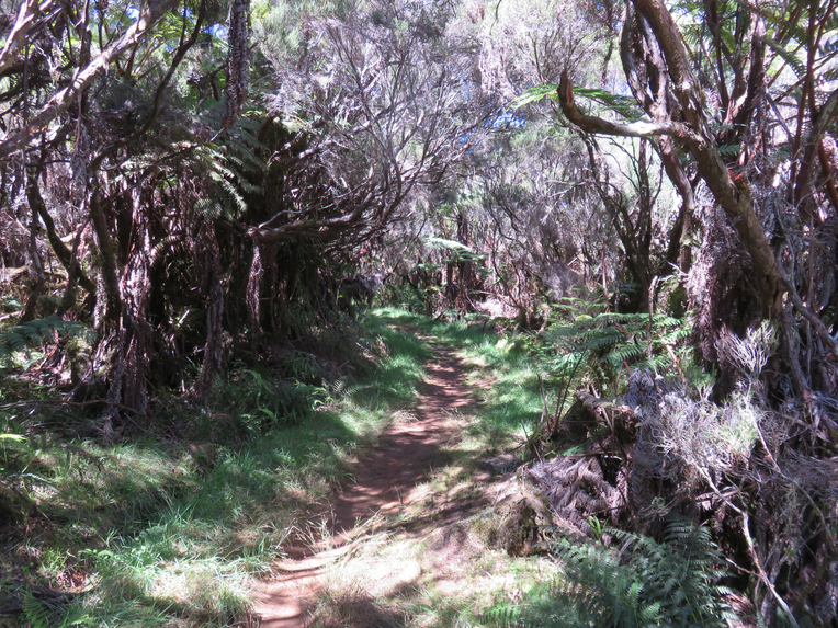 7 Le sentier...