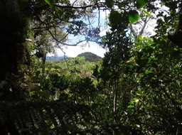 Le Piton Bébour