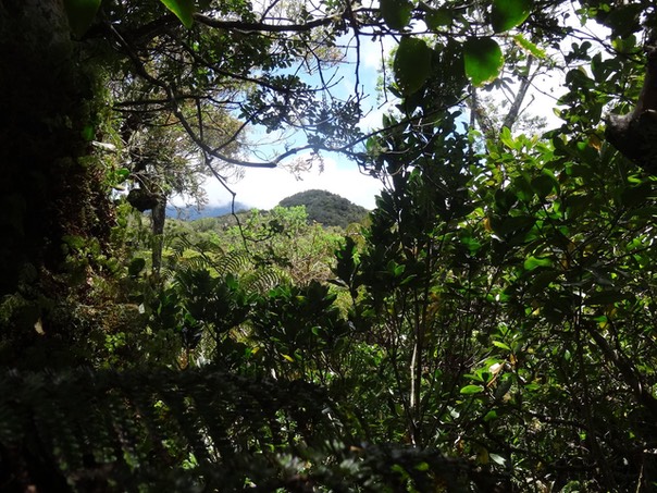 Le Piton Bébour