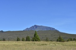 Sa majesté