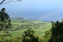 DSC_9708