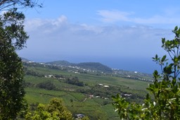 DSC_2815