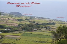 Paysage vu du piton Montvert