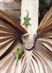 photo de Nathalie (1)