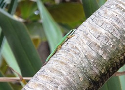 photo de Nathalie (2)