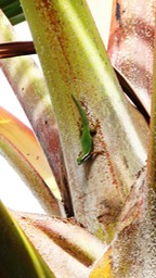 photo de Nathalie (3)