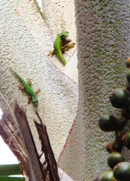 photo de Nathalie (4)