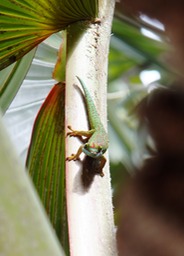 photo de Nathalie (7)