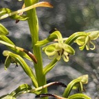 29. IMG_9627.JPG.jpeg