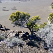 vue sur la Plaine des Sables.jpeg